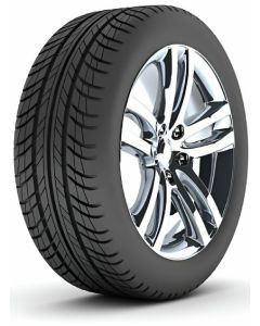 Nama 205/55 R16 91W Protermax 2025