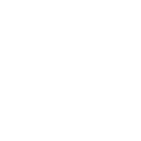 Tire Icon